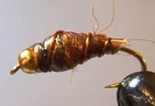 Dupuys nymphing