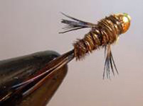 Dupuys nymphing