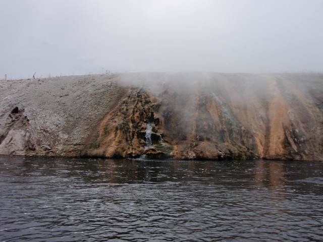 YNP 8