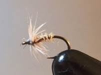 presentation or fly pattern part 2