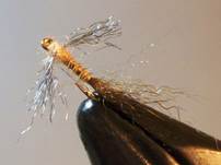 presentation or fly pattern part 2