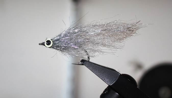Silversides