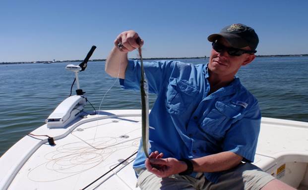 Needlefish on a Fly