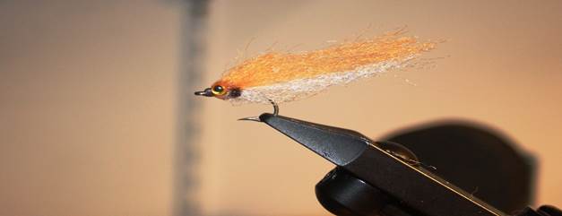 Scrap Bait Orange & White