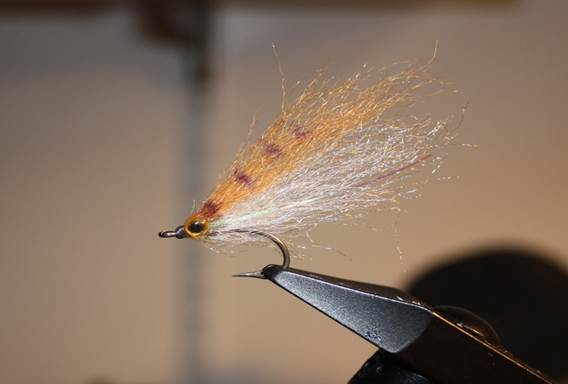 Scrap Bait Barred Orange & White