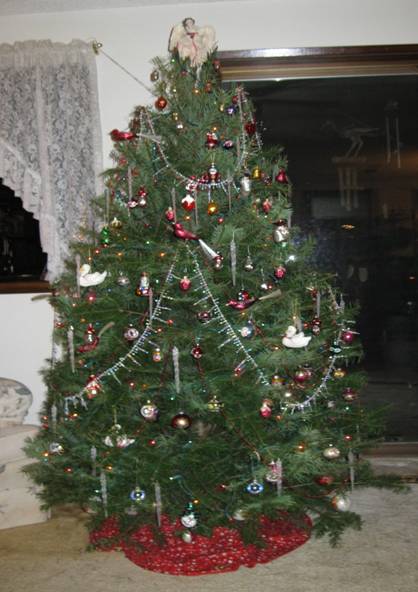christmas tree 
