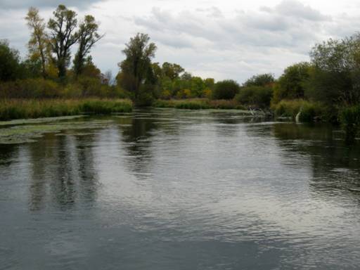 Fall fishing - Neil M. Travis