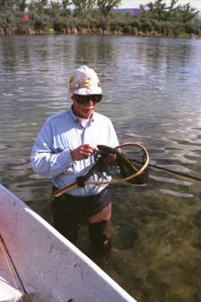 Big horn memories