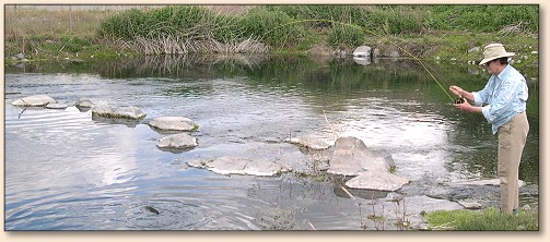 1st Pond