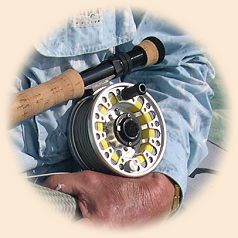 Nautilus reel