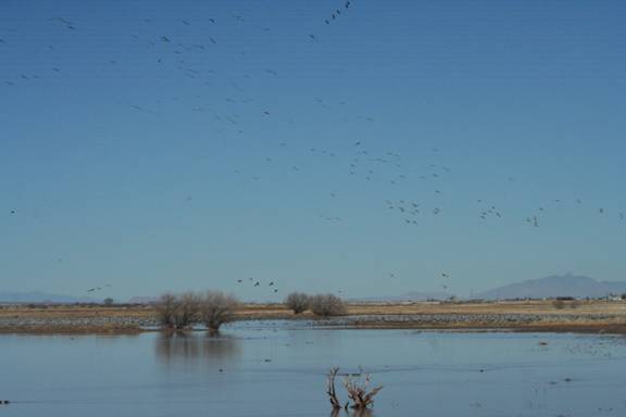 Ladyfisher - Absolutely amazing - Feb 28, 2011