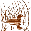 https://www.flyanglersonline.com/oldsite/articles/ldy/loon25.gif