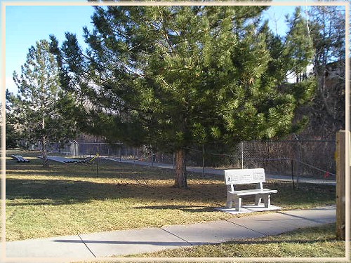Al's Bench