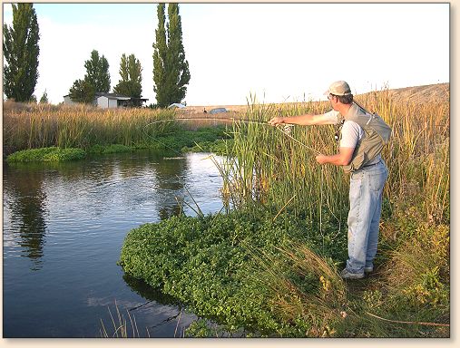 Steve Zweber trying to keep the trout out of the weeds