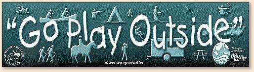 Bumper Sticker
