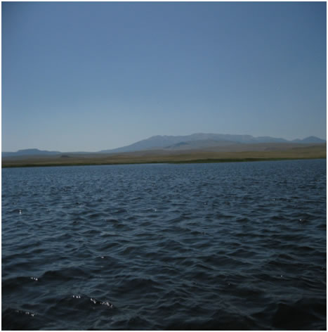 lake from the boat
