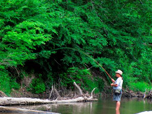Native waters - Roger Stouff