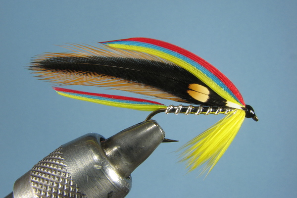 Lord Iris Fly