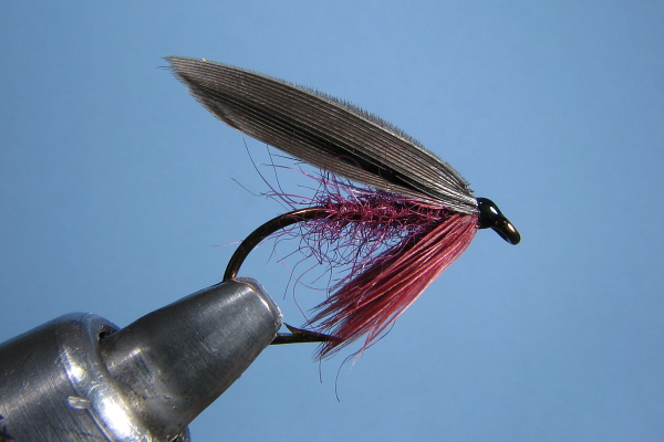 Just old flies - Eric - February 1, 2010