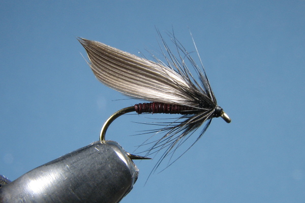 Just old flies - Eric - February 1, 2010