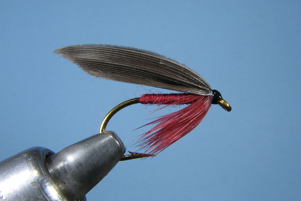 Just old flies - Eric - February 1, 2010