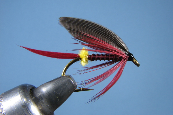 Just old flies - Eric - February 1, 2010