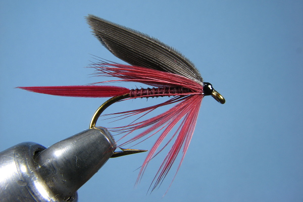 Just old flies - Eric - February 1, 2010