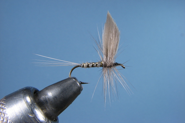 Old Flies - LaBranche - Flyanglersonline.com - March 1 , 2010