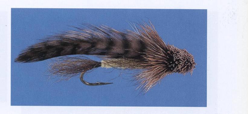 Old flies - spuddler - Deanna Lee Travis
