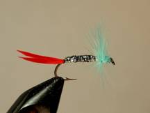 Art Winnies victory fly