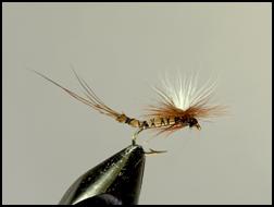 Clarence Roberts - Au Sable River Tyer