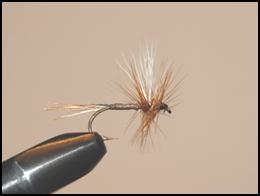 Clarence Roberts - Au Sable River Tyer