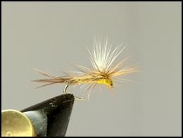 Clarence Roberts - Au Sable River Tyer