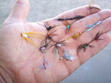Panfish - Flyanglers Online - March 1, 2010