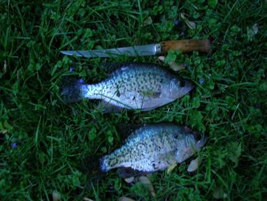Rick Zieger - Panfish - May 17, 2010