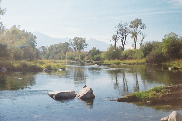 Nelson's Spring Creek