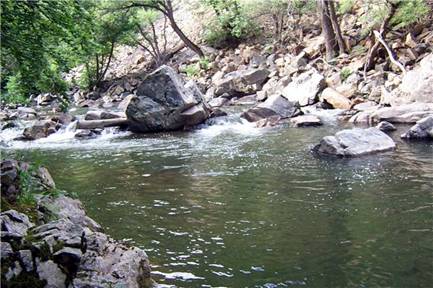 readers cast - bill hillman - Flyanglers Online - March 15, 2010