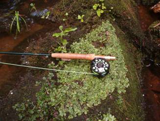 Readers Cast - Richard Taylor - Flyanglers Online - March 22, 2010