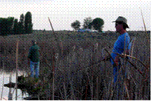 Readers Cast - Brown Reed Trout - Ron Tidd - June 14, 2010