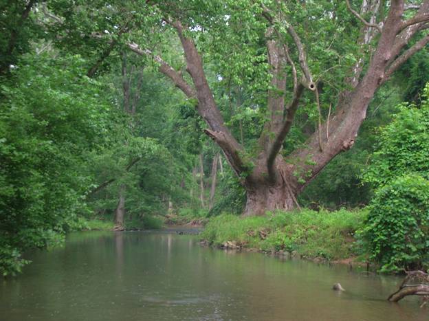 Looking Downstream - Ralph Longhunter - Readers Cast - July 5, 2010