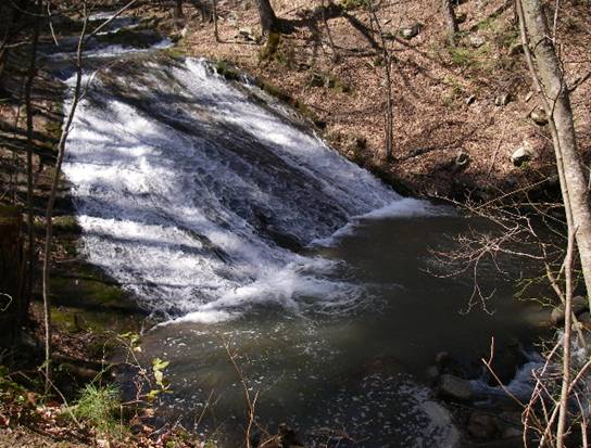 Can you hear the water songs - Dick Taylor