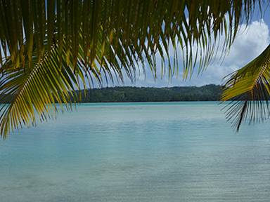 The cook islands - Mike Thomas