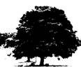 https://cdn.planetminecraft.com/files/resource_media/screenshot/1218/Tree_2166149.jpg