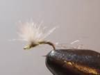 BWO HAPPY HOURS (part 2)