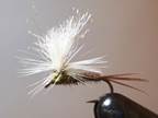 BWO HAPPY HOURS (part 2)