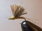 BWO HAPPY HOURS (part 2)