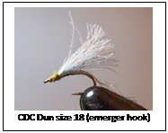 Readers cast BWO #4
