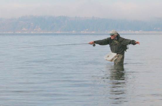 Sea-run cutthroat