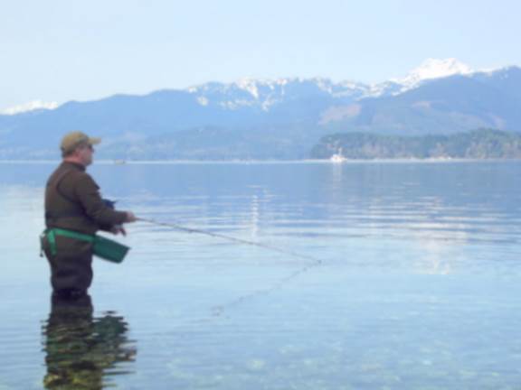 Sea-run cutthroat
