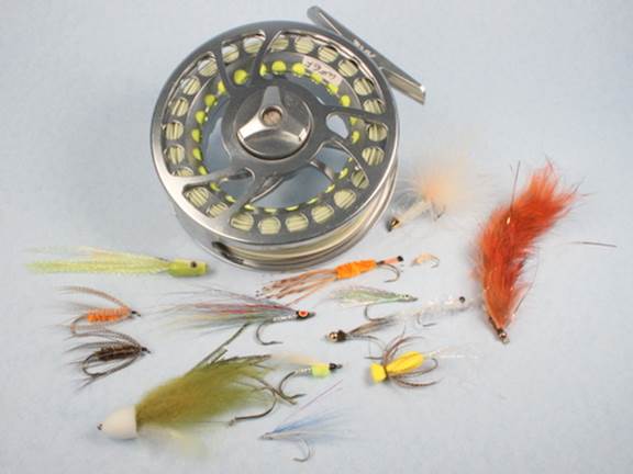 Sea-run cutthroat